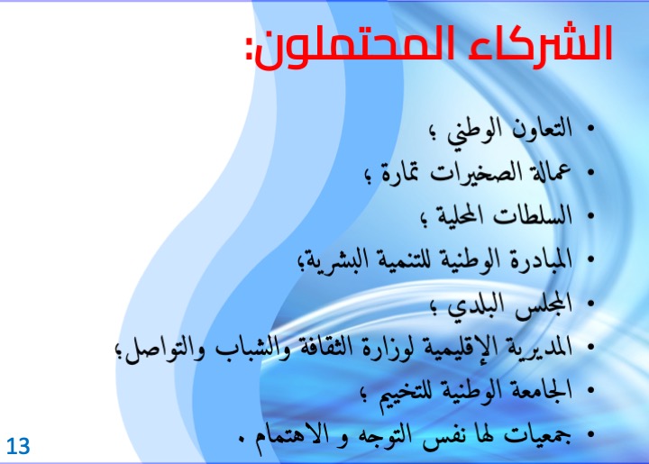 الشريحة 13