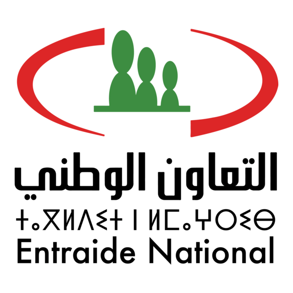 الشريك الأول